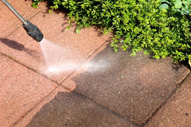 Best Power Washing Near Me  in Wailua Homesteads, HI